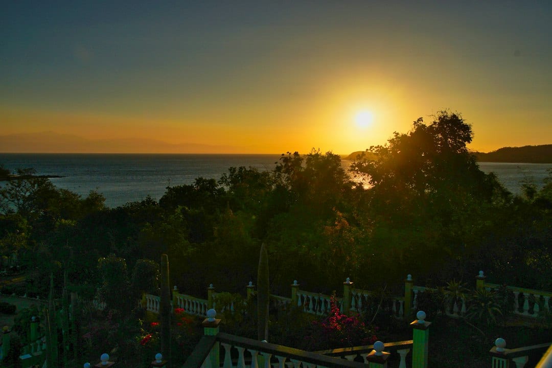 Peaceful garden landscape at sunset with golden light
